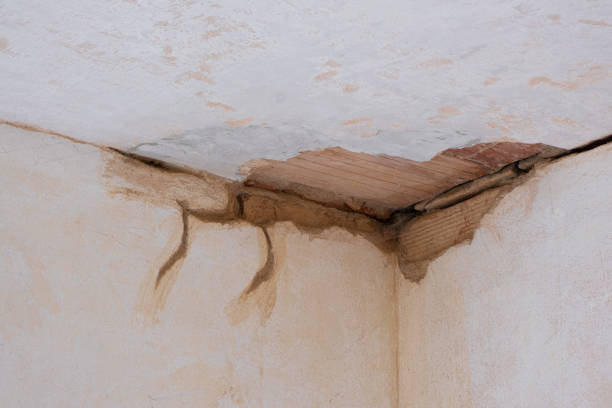 Best Local water damage restoration  in Kingsley, IA